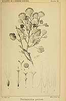  no thumbnail available