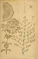  no thumbnail available