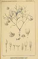  no thumbnail available