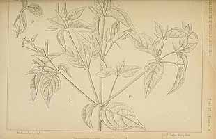  no thumbnail available