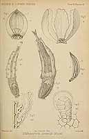  no thumbnail available