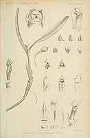  no thumbnail available