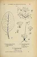  no thumbnail available