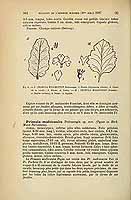  no thumbnail available