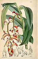  no thumbnail available