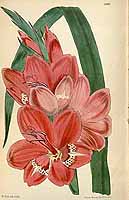  no thumbnail available