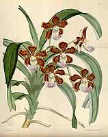  no thumbnail available