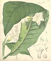  no thumbnail available