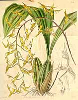  no thumbnail available