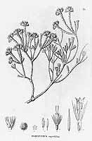  no thumbnail available