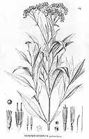  no thumbnail available