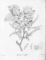  no thumbnail available