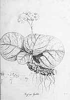  no thumbnail available