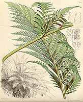  no thumbnail available