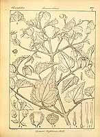  no thumbnail available