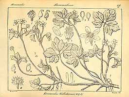  no thumbnail available