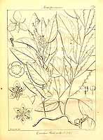  no thumbnail available