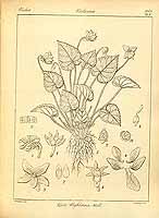  no thumbnail available