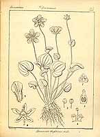  no thumbnail available