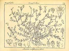  no thumbnail available