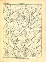  no thumbnail available