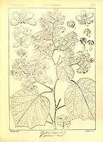  no thumbnail available