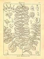  no thumbnail available