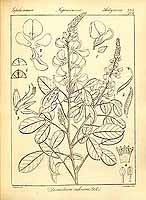  no thumbnail available