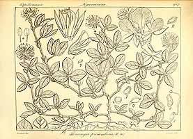  no thumbnail available