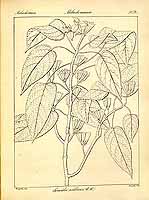  no thumbnail available