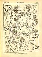  no thumbnail available