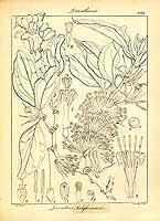  no thumbnail available