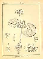  no thumbnail available