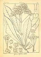  no thumbnail available