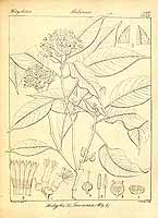  no thumbnail available