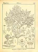  no thumbnail available