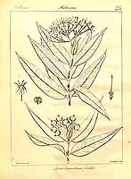  no thumbnail available