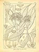  no thumbnail available