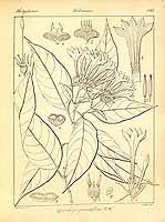  no thumbnail available