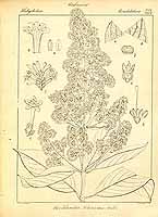  no thumbnail available