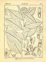  no thumbnail available