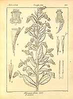  no thumbnail available