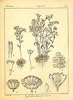  no thumbnail available