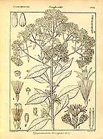  no thumbnail available