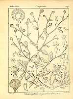  no thumbnail available