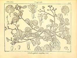  no thumbnail available