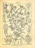  no thumbnail available