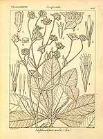  no thumbnail available