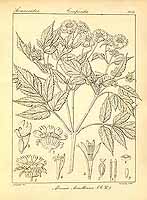  no thumbnail available