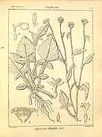  no thumbnail available